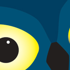Nachts sind die Augen am größten: 19. Museumnacht Dresden